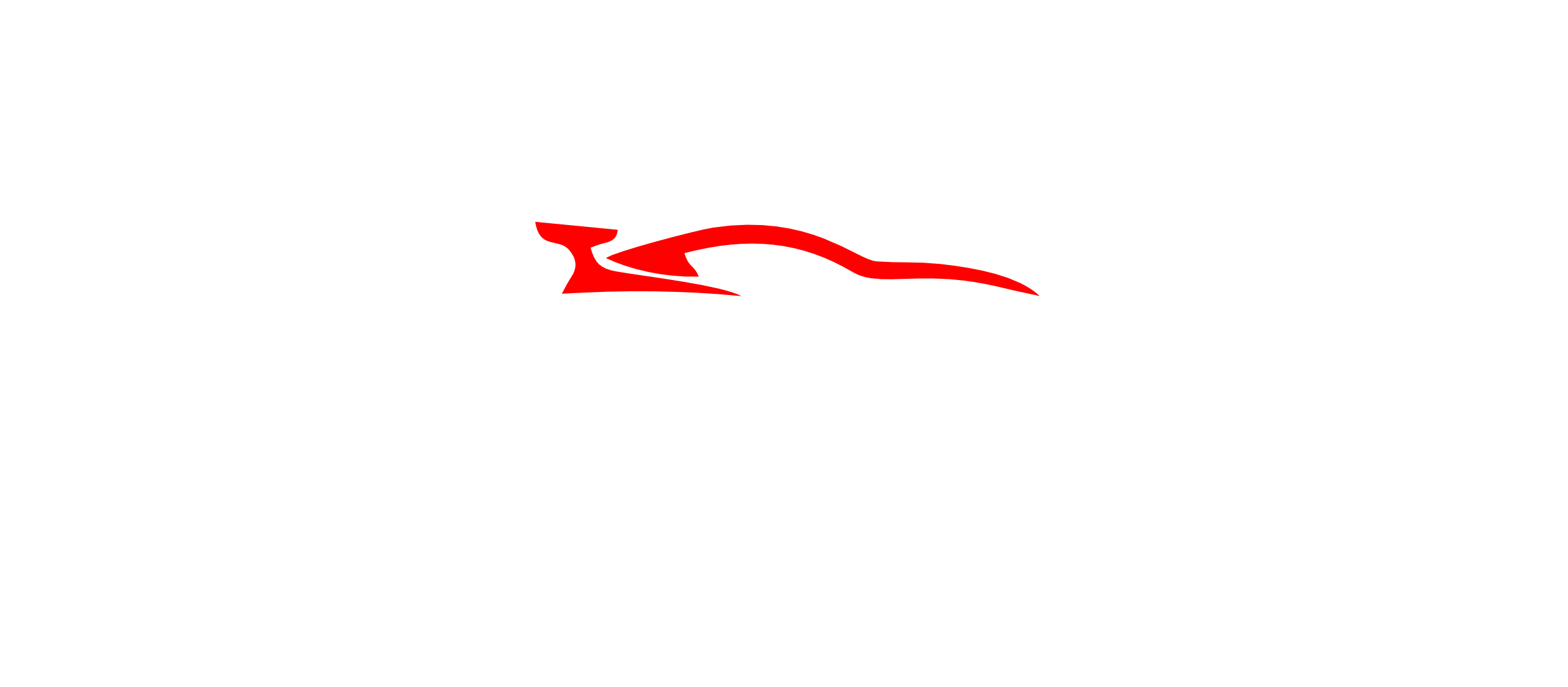 logo-footer